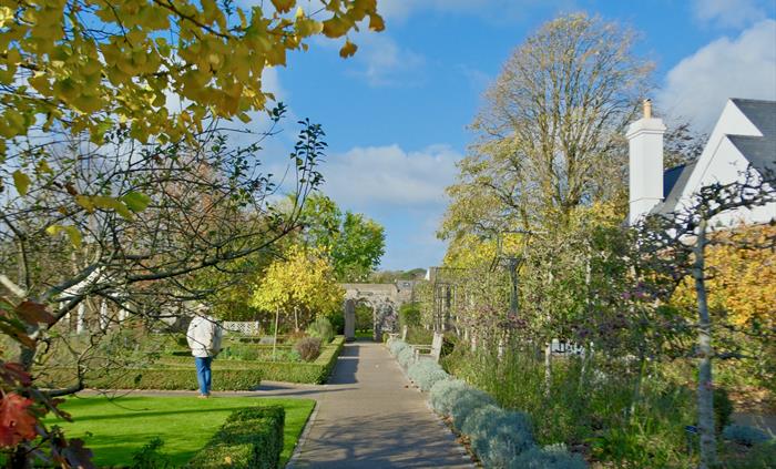 Cowbridge Physic Garden